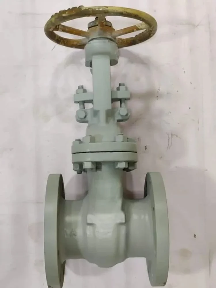 Stainless Steel Gate Valve — view 3